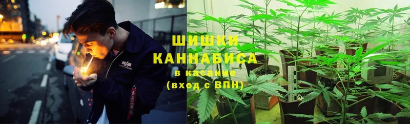 Бошки марихуана Ganja  Нерчинск 